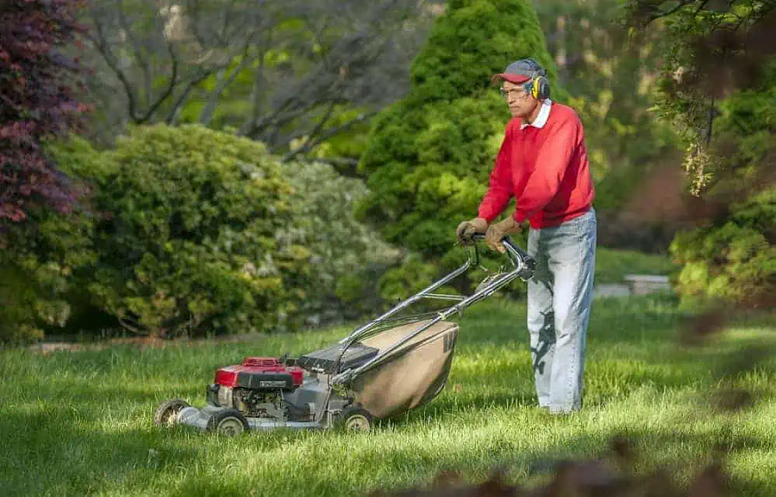 Transform your yard – Picking the perfect lawn mower for your needs